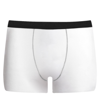 LJ内裤-R0112-1 - 牛奶丝-200g/S