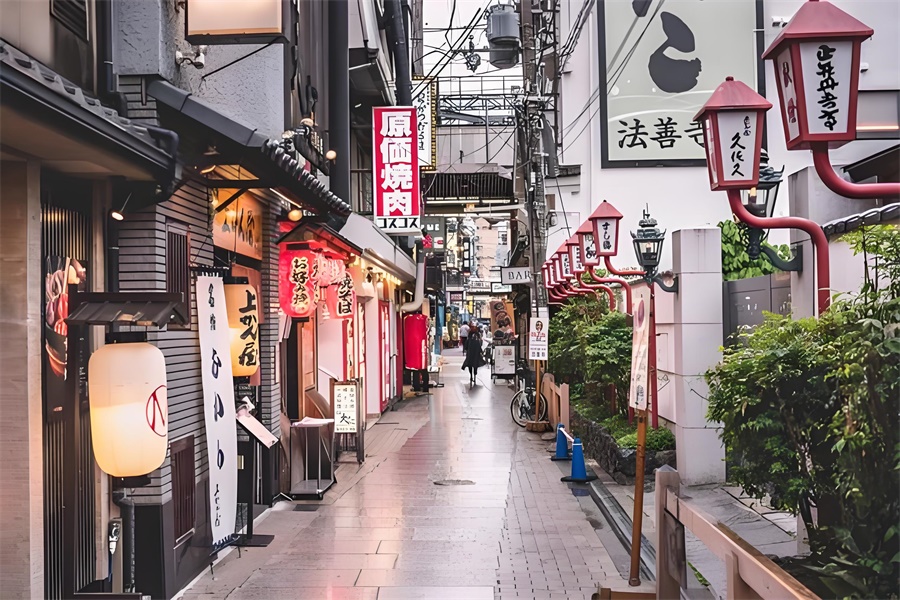 日本跨境电商平台市场广阔